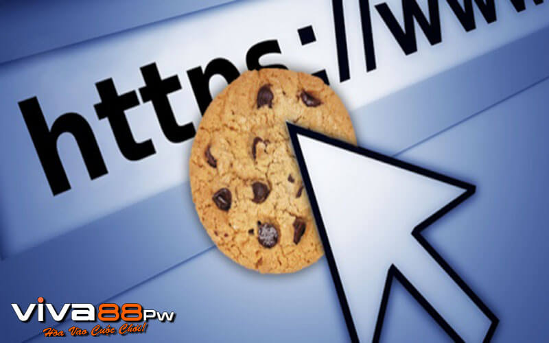 Chính sách bảo mật liên quan đến địa chỉ IP và Cookie